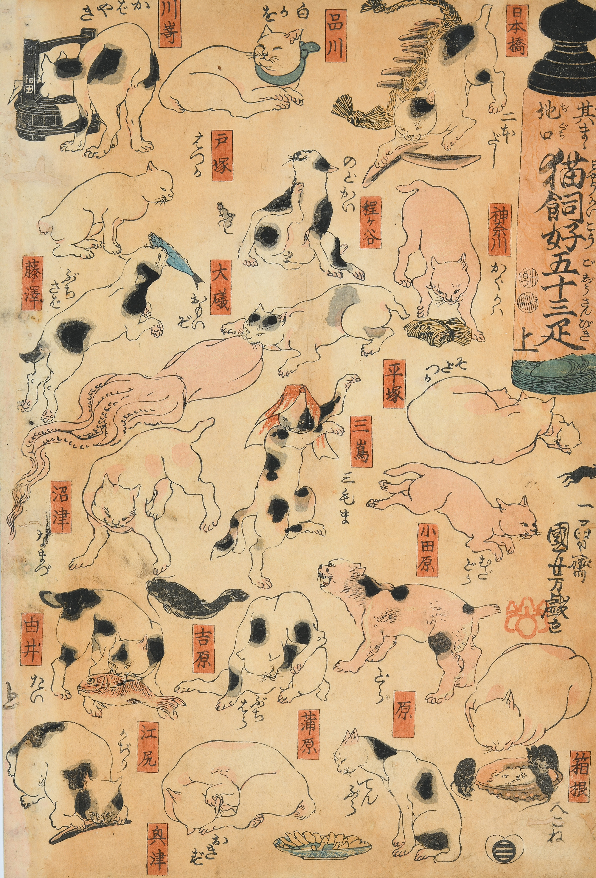 67猫飼好右.jpg